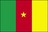 Flag of Cameroon