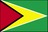 Flag of Guyana