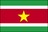 Flag of Suriname